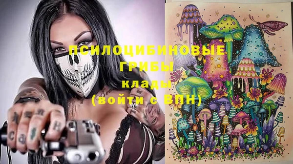 МДПВ Аркадак