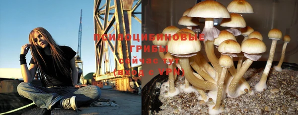 МДПВ Балахна